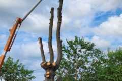 A.C.-Tree-Service-LLC-91-Manor-Dr-Hagerstown-MD-21740-1-301-302-6467-194