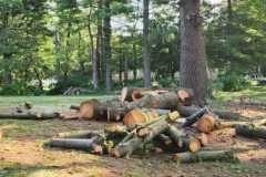 A.C.-Tree-Service-LLC-91-Manor-Dr-Hagerstown-MD-21740-1-301-302-6467-196