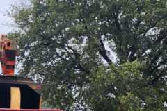 A.C.-Tree-Service-LLC-91-Manor-Dr-Hagerstown-MD-21740-1-301-302-6467-197