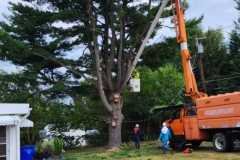 A.C.-Tree-Service-LLC-91-Manor-Dr-Hagerstown-MD-21740-1-301-302-6467-198