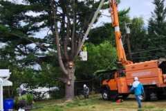 A.C.-Tree-Service-LLC-91-Manor-Dr-Hagerstown-MD-21740-1-301-302-6467-199