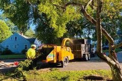 A.C.-Tree-Service-LLC-91-Manor-Dr-Hagerstown-MD-21740-1-301-302-6467-20