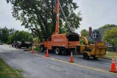 A.C.-Tree-Service-LLC-91-Manor-Dr-Hagerstown-MD-21740-1-301-302-6467-207