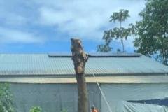 A.C.-Tree-Service-LLC-91-Manor-Dr-Hagerstown-MD-21740-1-301-302-6467-21