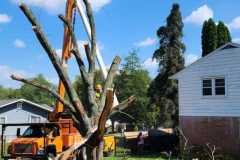A.C.-Tree-Service-LLC-91-Manor-Dr-Hagerstown-MD-21740-1-301-302-6467-212