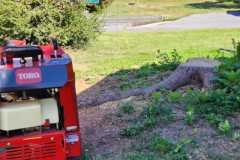 A.C.-Tree-Service-LLC-91-Manor-Dr-Hagerstown-MD-21740-1-301-302-6467-215