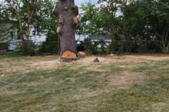 A.C.-Tree-Service-LLC-91-Manor-Dr-Hagerstown-MD-21740-1-301-302-6467-216