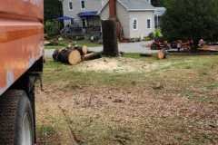 A.C.-Tree-Service-LLC-91-Manor-Dr-Hagerstown-MD-21740-1-301-302-6467-217