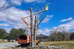 A.C.-Tree-Service-LLC-91-Manor-Dr-Hagerstown-MD-21740-1-301-302-6467-221