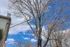A.C.-Tree-Service-LLC-91-Manor-Dr-Hagerstown-MD-21740-1-301-302-6467-223