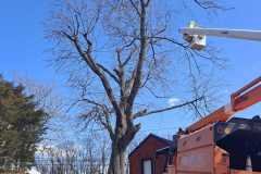 A.C.-Tree-Service-LLC-91-Manor-Dr-Hagerstown-MD-21740-1-301-302-6467-224