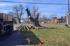 A.C.-Tree-Service-LLC-91-Manor-Dr-Hagerstown-MD-21740-1-301-302-6467-227