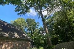 A.C.-Tree-Service-LLC-91-Manor-Dr-Hagerstown-MD-21740-1-301-302-6467-23