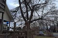 A.C.-Tree-Service-LLC-91-Manor-Dr-Hagerstown-MD-21740-1-301-302-6467-230