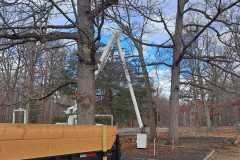 A.C.-Tree-Service-LLC-91-Manor-Dr-Hagerstown-MD-21740-1-301-302-6467-236