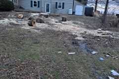 A.C.-Tree-Service-LLC-91-Manor-Dr-Hagerstown-MD-21740-1-301-302-6467-238