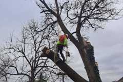 A.C.-Tree-Service-LLC-91-Manor-Dr-Hagerstown-MD-21740-1-301-302-6467-239