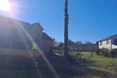 A.C.-Tree-Service-LLC-91-Manor-Dr-Hagerstown-MD-21740-1-301-302-6467-240