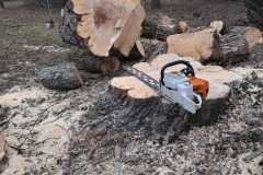 A.C.-Tree-Service-LLC-91-Manor-Dr-Hagerstown-MD-21740-1-301-302-6467-241