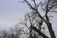 A.C.-Tree-Service-LLC-91-Manor-Dr-Hagerstown-MD-21740-1-301-302-6467-242