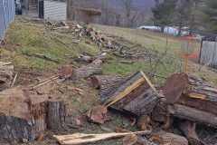 A.C.-Tree-Service-LLC-91-Manor-Dr-Hagerstown-MD-21740-1-301-302-6467-245