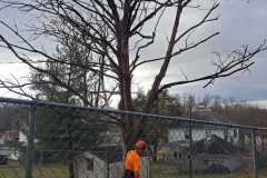 A.C.-Tree-Service-LLC-91-Manor-Dr-Hagerstown-MD-21740-1-301-302-6467-246