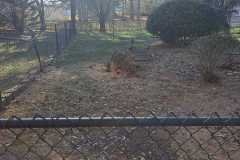 A.C.-Tree-Service-LLC-91-Manor-Dr-Hagerstown-MD-21740-1-301-302-6467-247