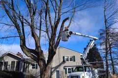 A.C.-Tree-Service-LLC-91-Manor-Dr-Hagerstown-MD-21740-1-301-302-6467-248