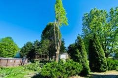 A.C.-Tree-Service-LLC-91-Manor-Dr-Hagerstown-MD-21740-1-301-302-6467-25