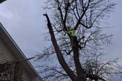 A.C.-Tree-Service-LLC-91-Manor-Dr-Hagerstown-MD-21740-1-301-302-6467-250
