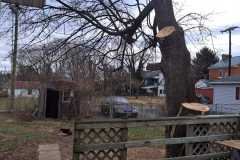 A.C.-Tree-Service-LLC-91-Manor-Dr-Hagerstown-MD-21740-1-301-302-6467-251