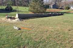 A.C.-Tree-Service-LLC-91-Manor-Dr-Hagerstown-MD-21740-1-301-302-6467-252