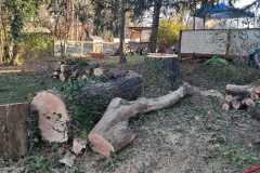 A.C.-Tree-Service-LLC-91-Manor-Dr-Hagerstown-MD-21740-1-301-302-6467-253