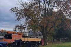 A.C.-Tree-Service-LLC-91-Manor-Dr-Hagerstown-MD-21740-1-301-302-6467-254