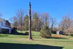 A.C.-Tree-Service-LLC-91-Manor-Dr-Hagerstown-MD-21740-1-301-302-6467-255