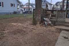 A.C.-Tree-Service-LLC-91-Manor-Dr-Hagerstown-MD-21740-1-301-302-6467-256