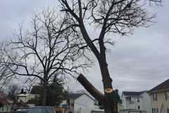 A.C.-Tree-Service-LLC-91-Manor-Dr-Hagerstown-MD-21740-1-301-302-6467-257