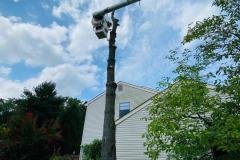 A.C.-Tree-Service-LLC-91-Manor-Dr-Hagerstown-MD-21740-1-301-302-6467-26