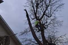 A.C.-Tree-Service-LLC-91-Manor-Dr-Hagerstown-MD-21740-1-301-302-6467-260