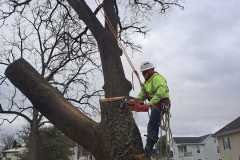A.C.-Tree-Service-LLC-91-Manor-Dr-Hagerstown-MD-21740-1-301-302-6467-262