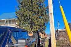 A.C.-Tree-Service-LLC-91-Manor-Dr-Hagerstown-MD-21740-1-301-302-6467-269