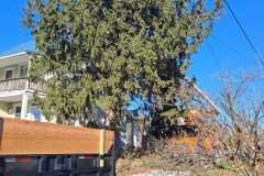 A.C.-Tree-Service-LLC-91-Manor-Dr-Hagerstown-MD-21740-1-301-302-6467-270