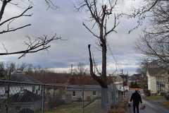 A.C.-Tree-Service-LLC-91-Manor-Dr-Hagerstown-MD-21740-1-301-302-6467-271