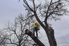 A.C.-Tree-Service-LLC-91-Manor-Dr-Hagerstown-MD-21740-1-301-302-6467-273
