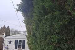 A.C.-Tree-Service-LLC-91-Manor-Dr-Hagerstown-MD-21740-1-301-302-6467-275