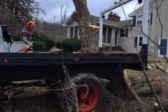 A.C.-Tree-Service-LLC-91-Manor-Dr-Hagerstown-MD-21740-1-301-302-6467-276