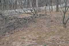 A.C.-Tree-Service-LLC-91-Manor-Dr-Hagerstown-MD-21740-1-301-302-6467-277