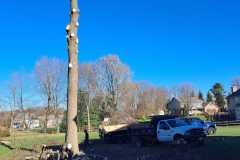 A.C.-Tree-Service-LLC-91-Manor-Dr-Hagerstown-MD-21740-1-301-302-6467-278