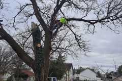A.C.-Tree-Service-LLC-91-Manor-Dr-Hagerstown-MD-21740-1-301-302-6467-279