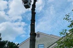 A.C.-Tree-Service-LLC-91-Manor-Dr-Hagerstown-MD-21740-1-301-302-6467-28